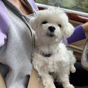 ⭐️⭐️CHECK OUT 💥⚡️✨💫